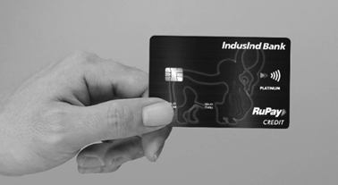 RuPay